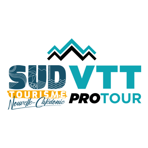 logo pro tour